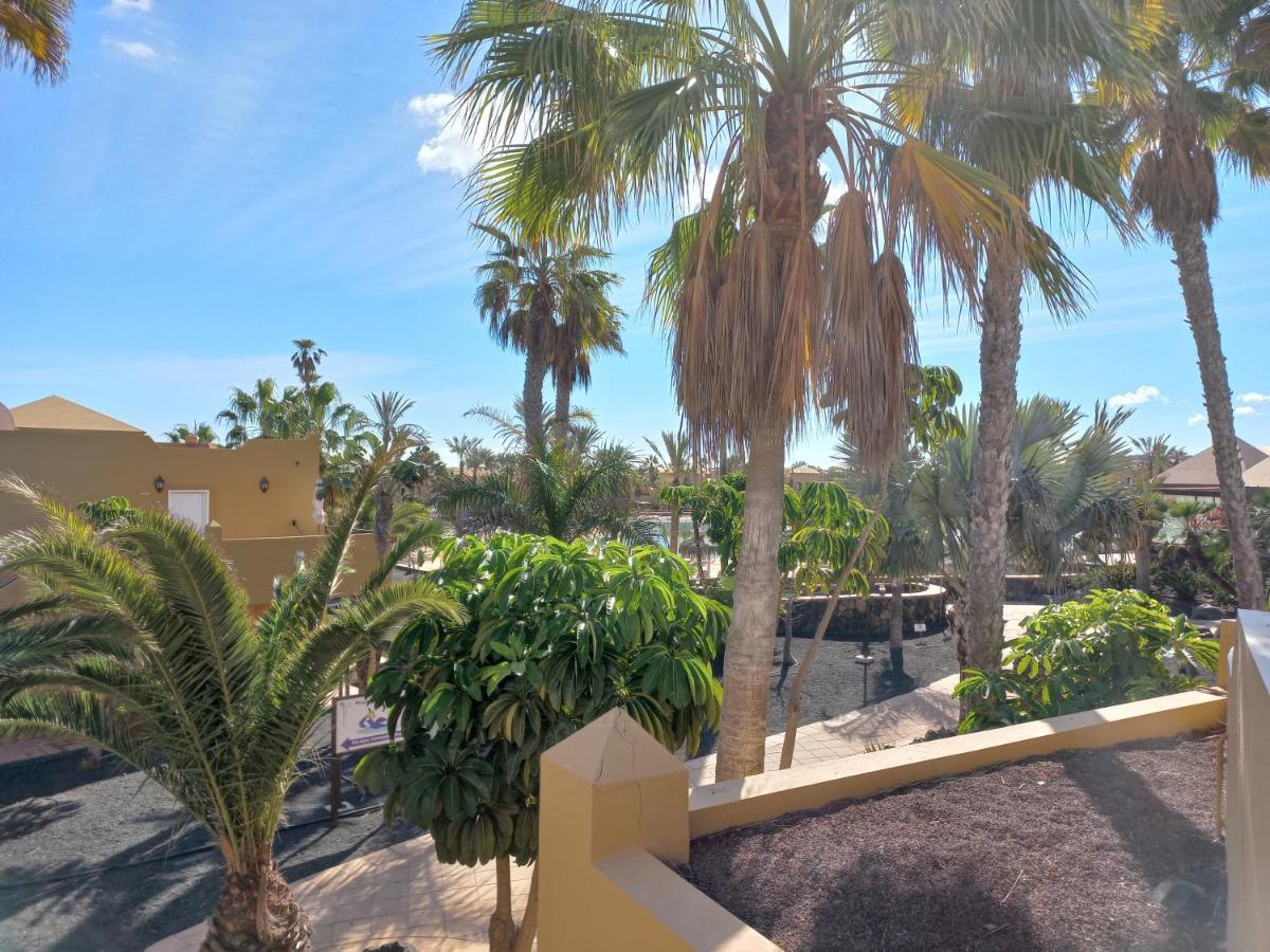 Playa Oasis Appartement