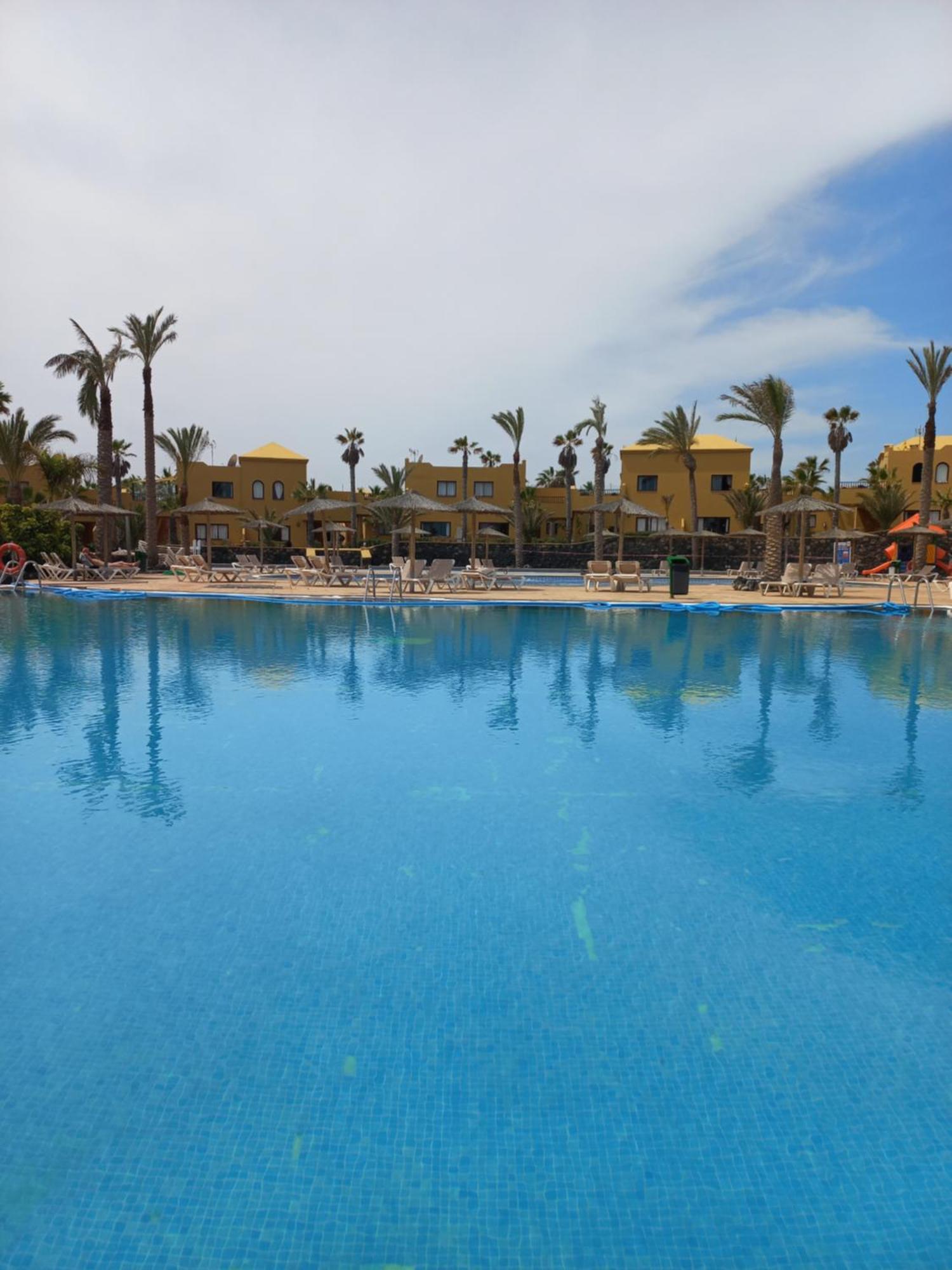 Playa Oasis Appartement